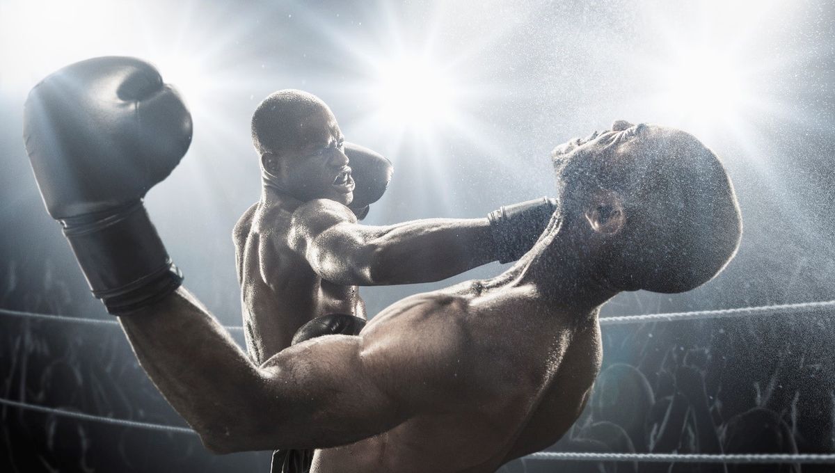 The Grit Behind the Glory: Why Boxer Life Story Books Hit So Hard
